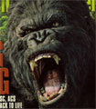 051129kong.jpg